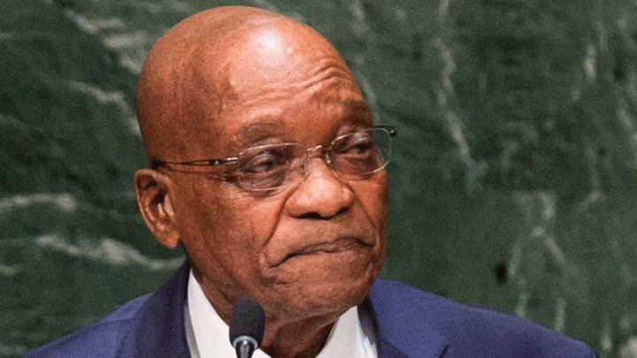 Affaire Zuma fils
