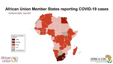 État de la Pandémie en Afrique