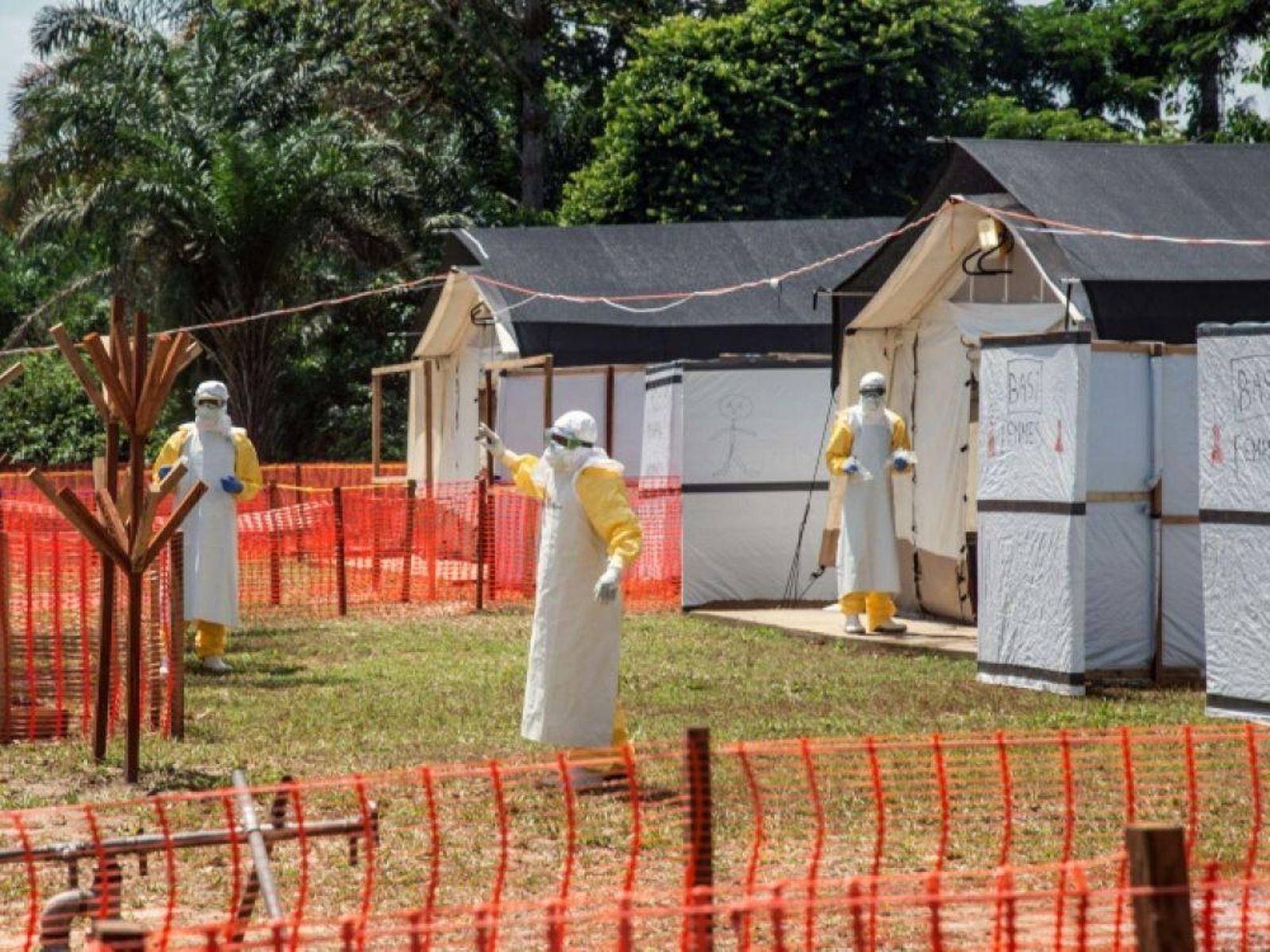 Nouvelle épidémie ebola au RDC