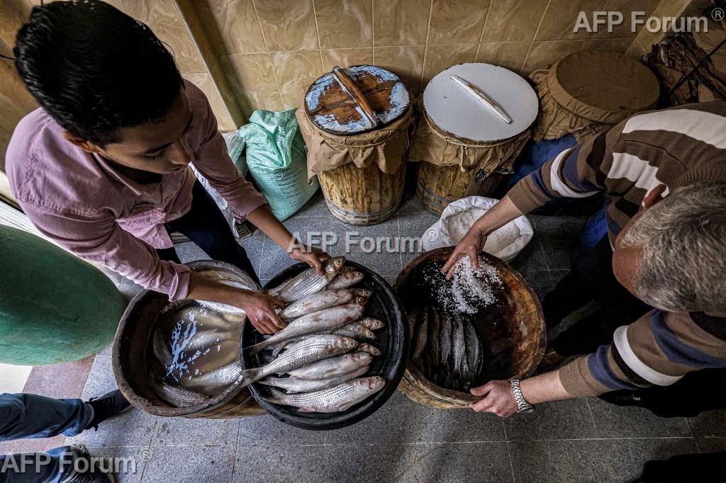 Préparation du "fessikh", un plat traditionnel de poissons salés et fermentés, le 11 avril 2023 à Nabarouh, dans le delta du Nil, en Egypte.
