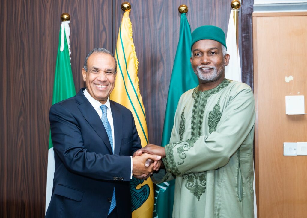 Le ministre égyptien des Affaires étrangères et des Migrations, Badr Abdelatty et son homologue nigérian, Youssouf Tuggar (DR, Nigeria MFA)