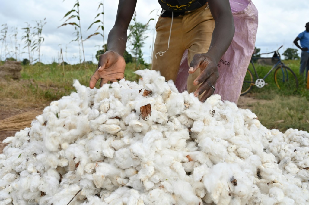 Coton du Faso