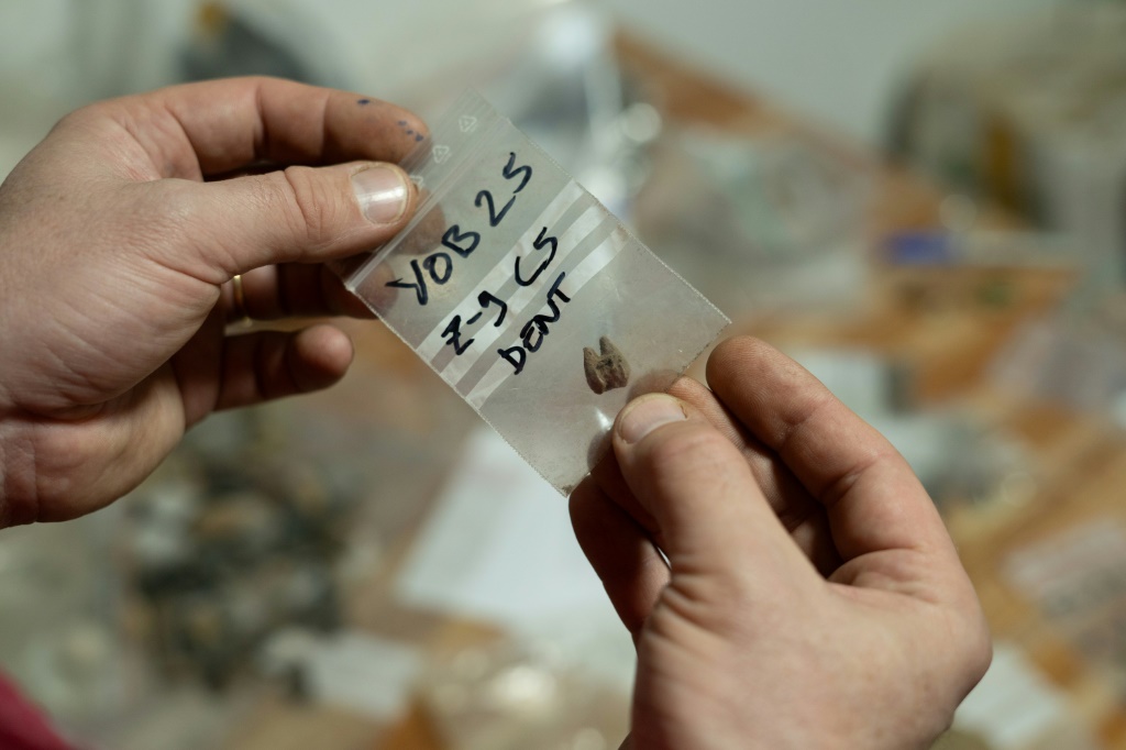 Un archéologue tient un sac contenant une dent trouvée dans la grotte de Youmbidi (Gabon), dans un laboratoire de Libreville le 23 juin 2025.