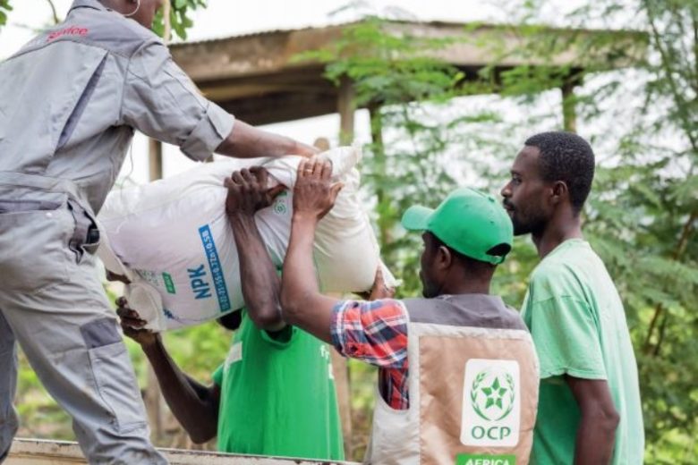 Hausse de l'importation des engrais en Afrique, une bonne nouvelle pour l'OCP