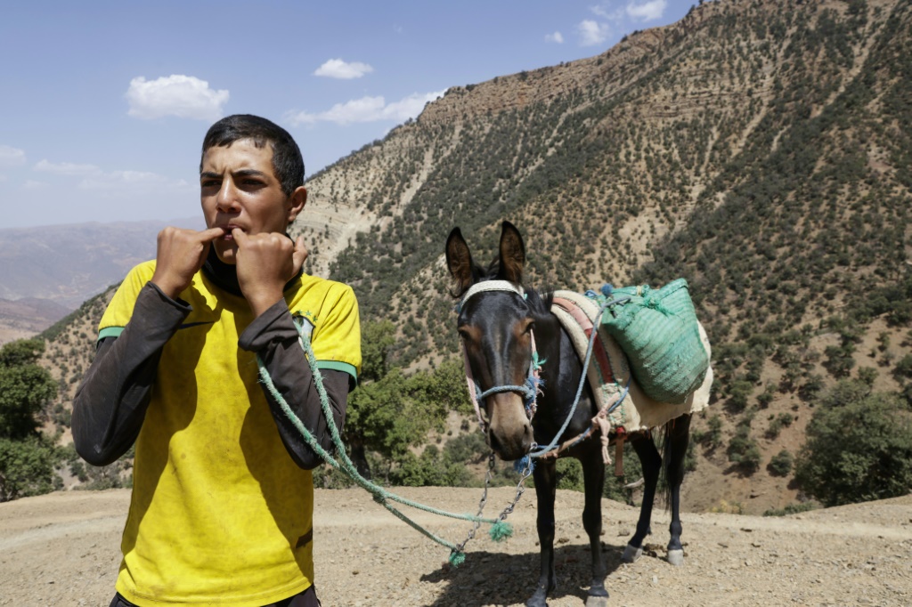 Un jeune du hameau d'Imzerri utilise la pratique ancienne du langage sifflé, permettant de communiquer à travers de vastes distances, le 19 août 2025 dans les montagnes de l'Atlas, au Maroc.