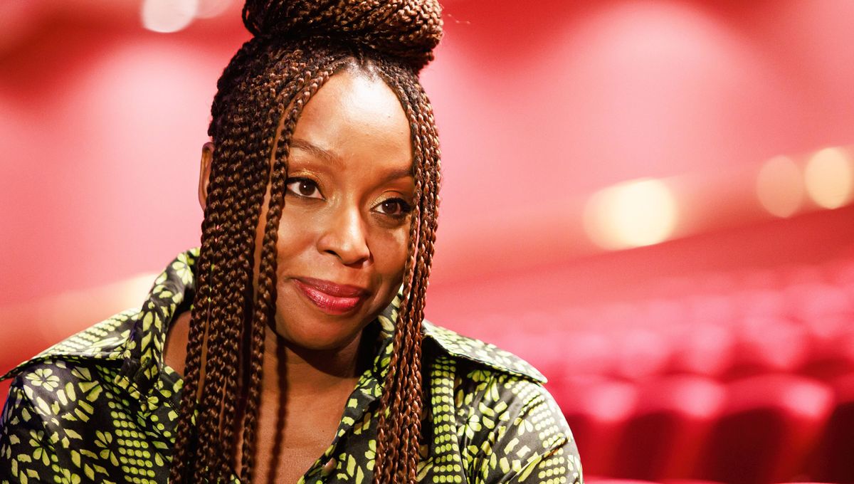 Nigeria: Qui a tué un jumeau de l'écrivaine Chimamanda Ngozi Adichie?