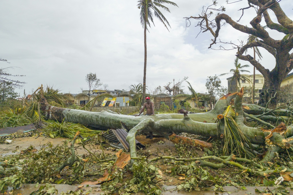 Un habitant de Tomasina près d'un arbre balayé par le passage ce 10 février du cycclone Gezani dans cette ville de la côté est de Madagascar, le 12 février 2026.