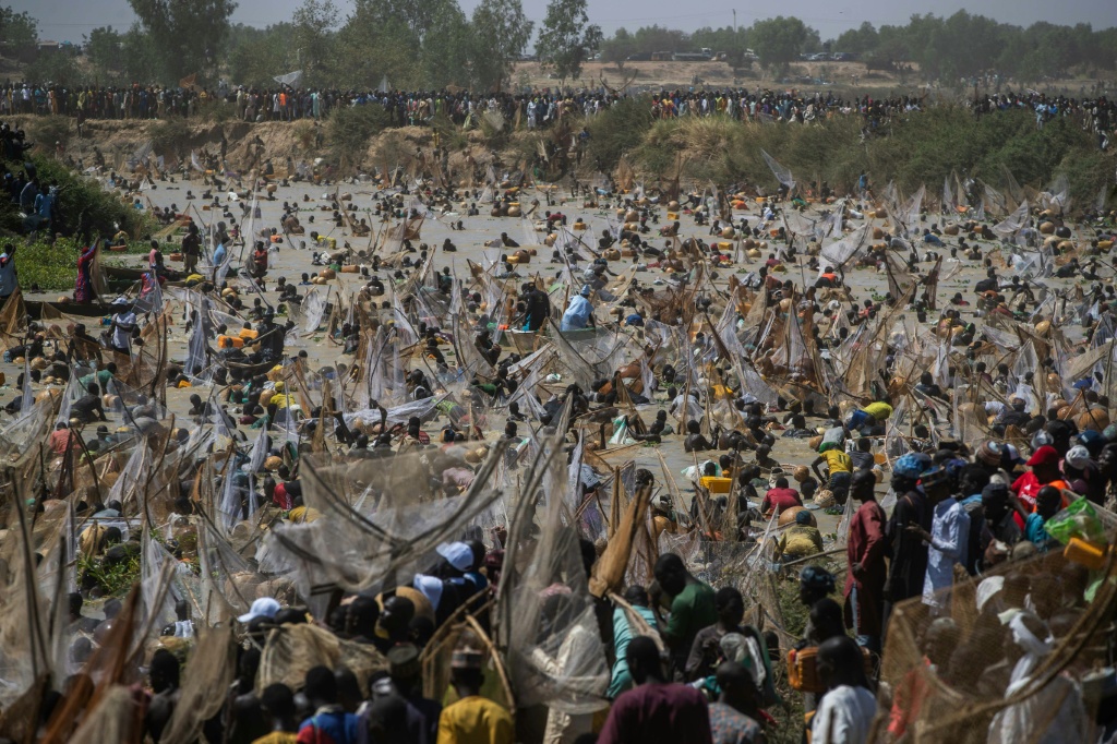 Des pêcheurs tentent d'attraper des poissons dans la rivière Matan Fada pendant le Festival culturel et de pêche d'Argungu, dans la ville d'Argungu, dans l'État de Kebbi, au nord-ouest du Nigeria, le 14 février 2026.