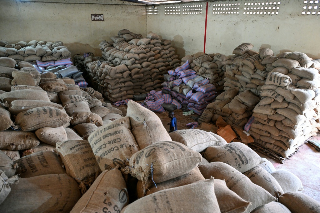 Des sacs de cacao dans un entrepôt à Duekoué, le 15 janvier 2026 en Côte d'Ivoire.