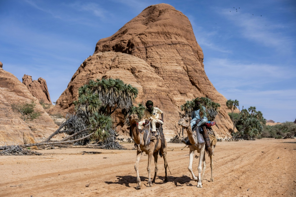 Des participants à la course de chameaux du Festival international des cultures sahariennes d'Amdjarass (Ficsa), dans le nord du Tchad, éperonnent leurs montures lors de la compétition, le 8 février 2026.