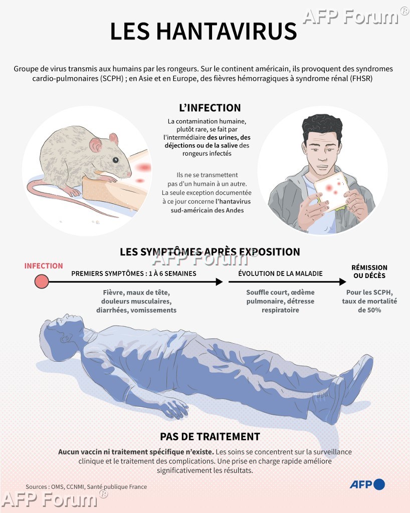 Planche descriptive du mode de transmission et des symptômes des hantavirus.