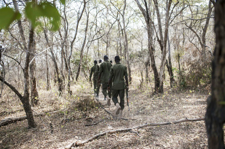 Des gardes-forestiers béninois s’exercent aux patrouilles dans le Centre d’entraînement du "Parc national de la Pendjari", près de Tanguiéta (Bénin), le 11 janvier 2018.